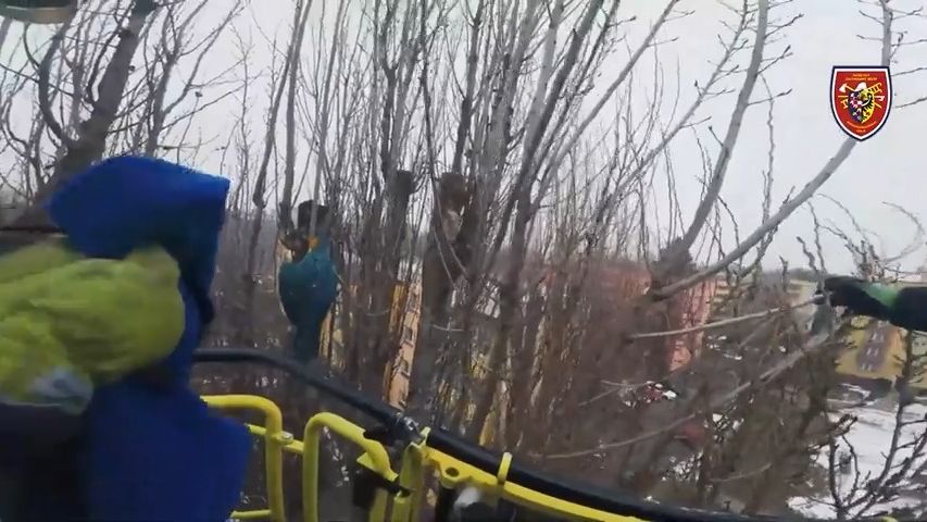 Papoušek ara uvízl v Karviné v koruně vysokého stromu. Nešťastně skřehotal